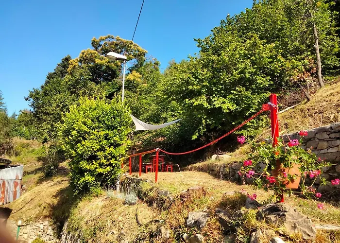 公寓 阿尔特罗夫酒店 *