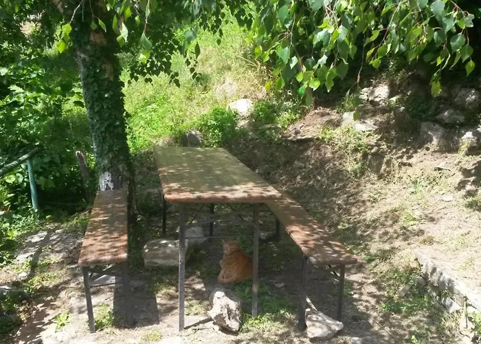 阿尔特罗夫酒店 公寓