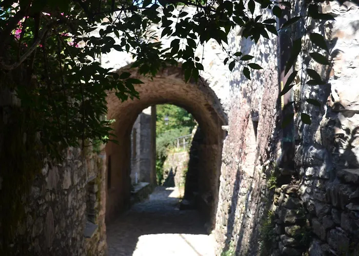 阿尔特罗夫酒店 *